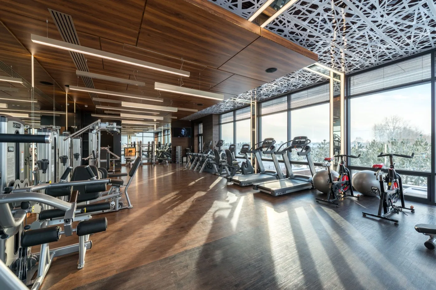 Mozgáselemzés és oktatás — sportoktató (testépítés-fitness sportágban) képzés